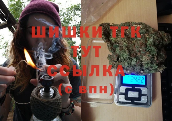 сатива Ахтубинск